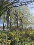 Vreugde
